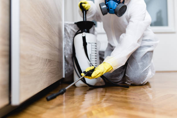 Best Best Pest Control Companies  in Manhattan, NY