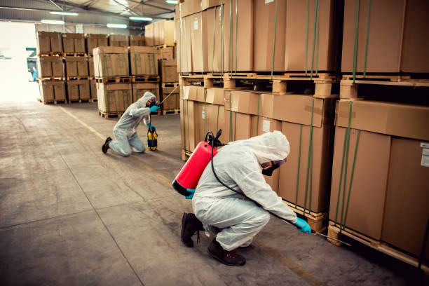 Best Flea Control Services  in Manhattan, NY