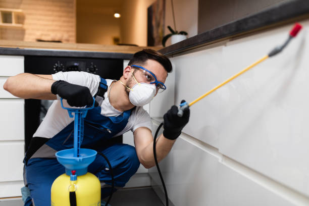 Manhattan, NY Pest Control Company