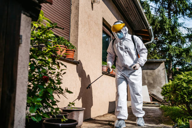 Best Rat Extermination Near Me  in Manhattan, NY