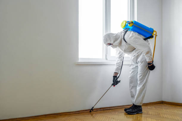 Pest Control Cost in Manhattan, NY