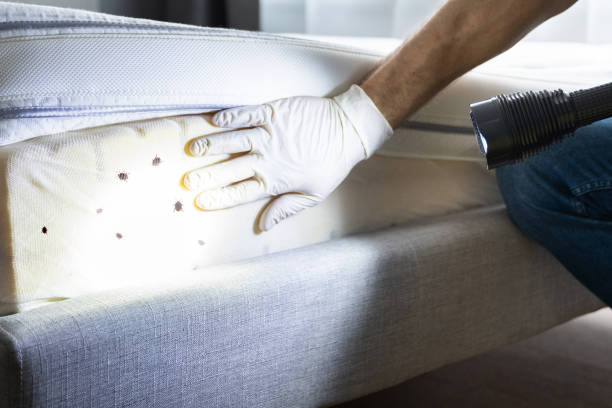 Best Pest Inspection Near Me  in Manhattan, NY