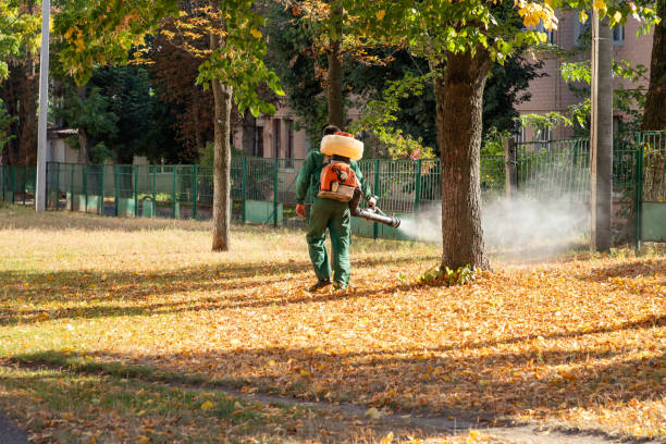 Best Local Pest Control Services  in Manhattan, NY