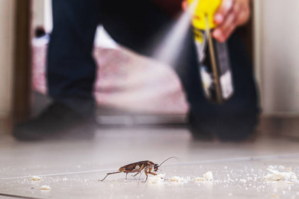 Best Pest Control Near Me  in Manhattan, NY