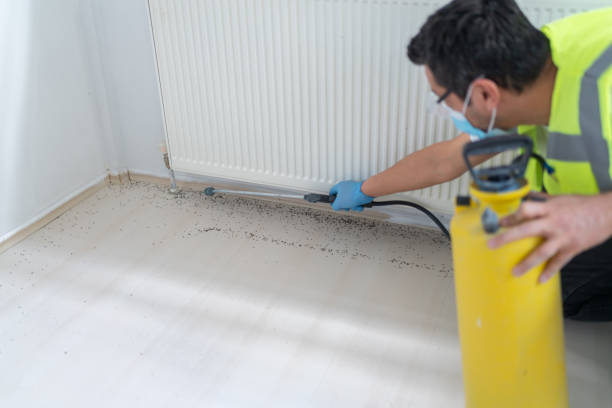 Best Bed Bug Extermination  in Manhattan, NY