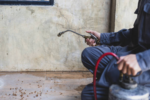 Best Mosquito Control Services  in Manhattan, NY